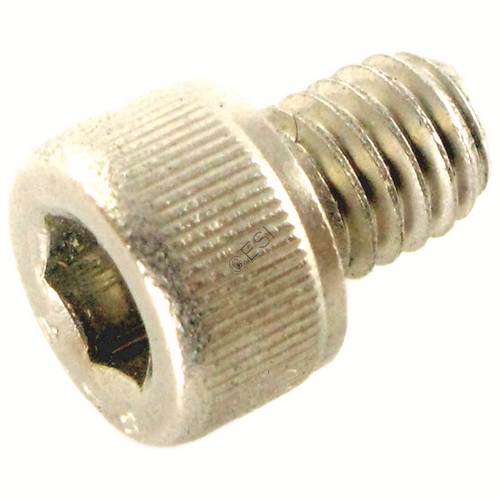 Feed Port Set Screw - Stainless Steel - Brass Eagle Part #137914-000 SS