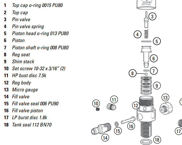 Dye DTS Manual