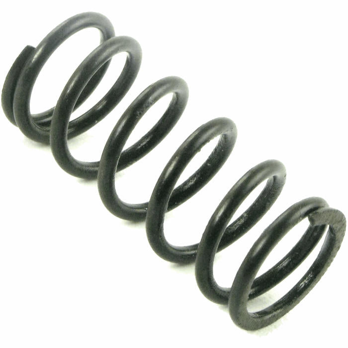 Internal Valve Spring - JT Part #19444