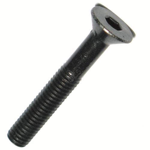 Bottom Line Screw - ViewLoader Part #131087-000