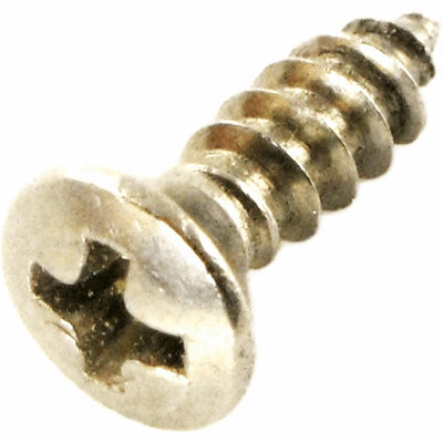 Trigger Spring Screw - Stainless Steel - Brass Eagle Part #133410-000 SS