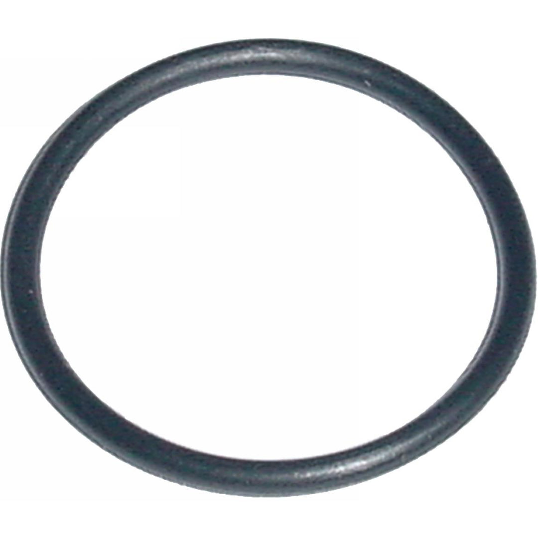 Oring - Smart Parts Part #ORN02070UR