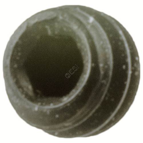 Body Plug / Regulator Screw - Smart Parts Part #SCRN0440X0094SCO