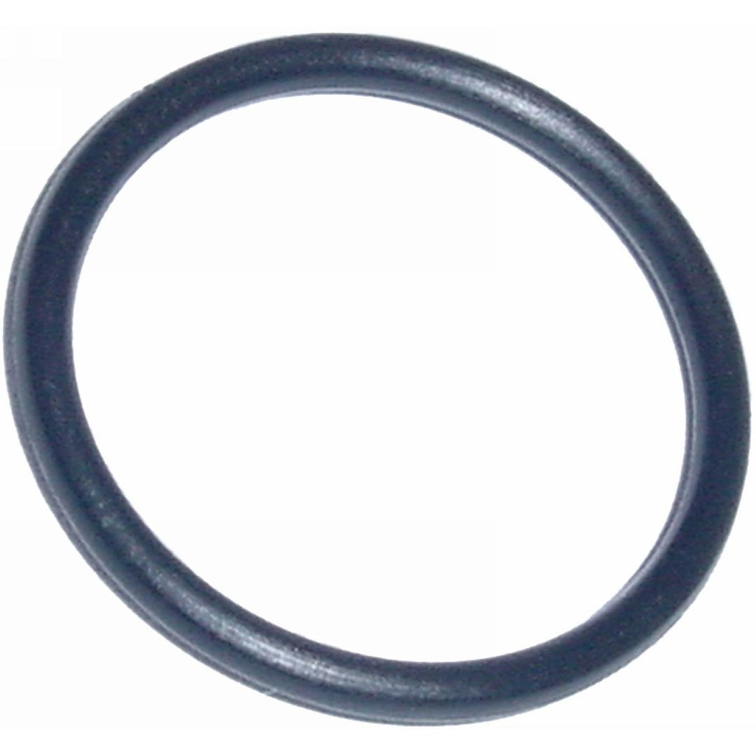 Oring - DYE Part #RPM-5497