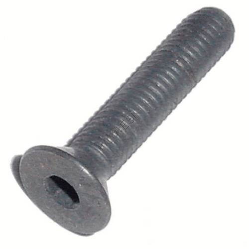 Bottom Line Screw - ViewLoader Part #130812-000