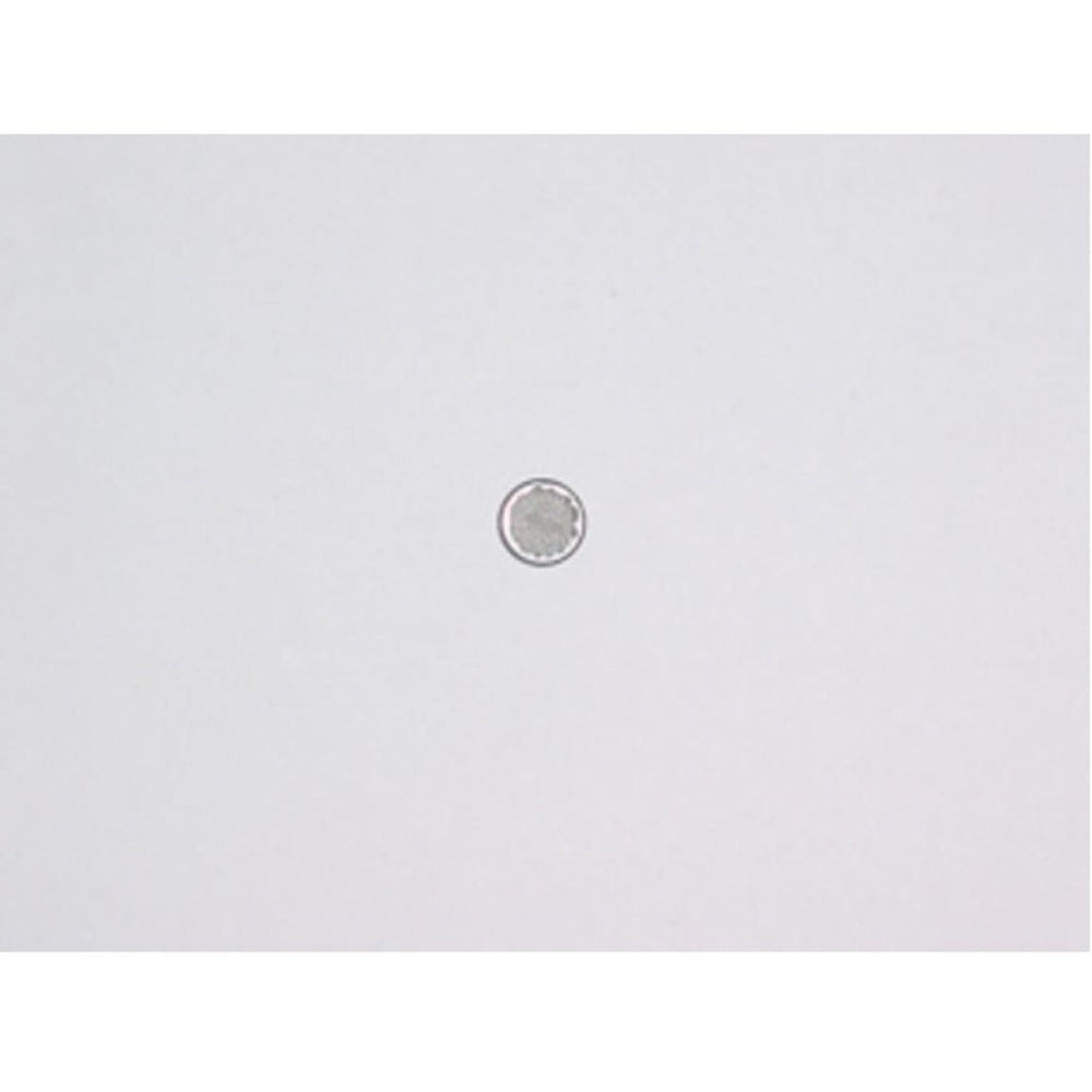 Filter Screen - PMI Part 10623 - TippmannParts