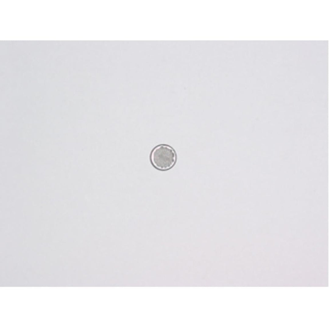 Filter Screen - PMI Part 10623 - TippmannParts