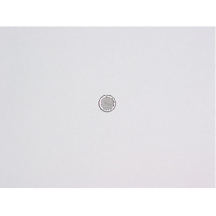 Filter Screen - PMI Part 10623 - TippmannParts