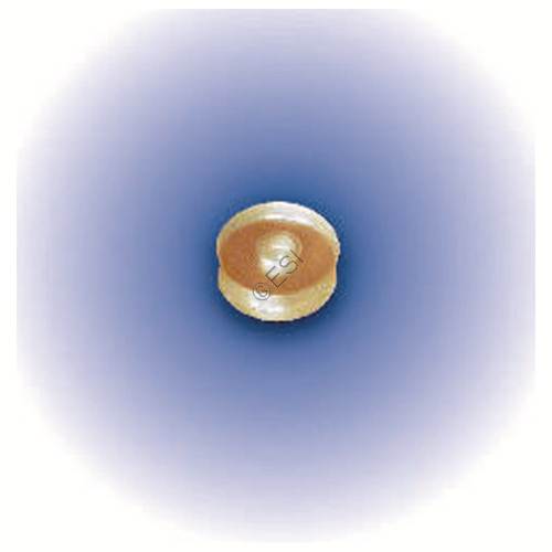 Regulator Seat - Air Gun Designs (AGD) Part #000116 - TippmannParts