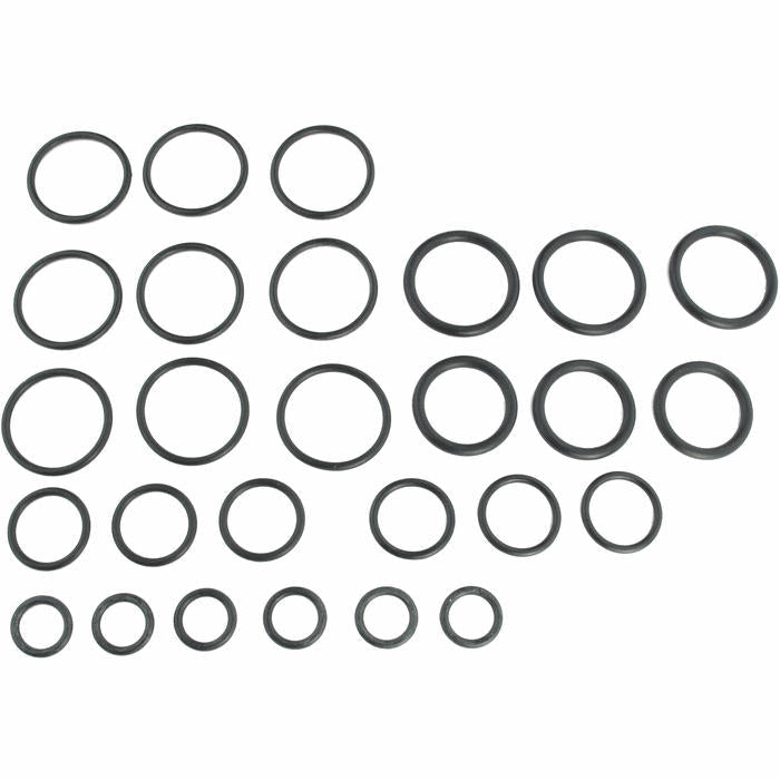 RPM BT & JT Player Oring Kit - TippmannParts